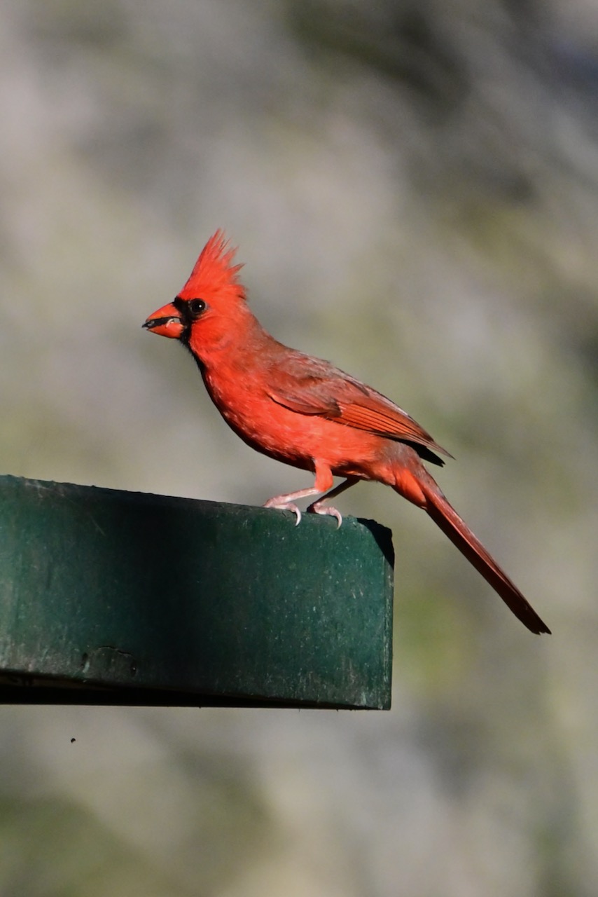 My Yard is the&nbsp;Best